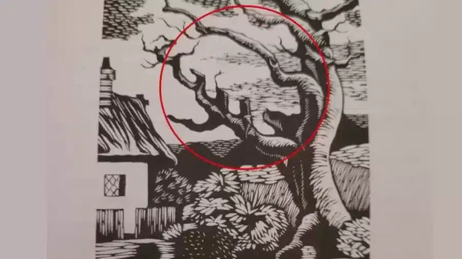 Test di visione dell'illusione ottica: Solo una persona dagli occhi d'aquila può trovare il gatto nell'immagine. E voi ci riuscite?