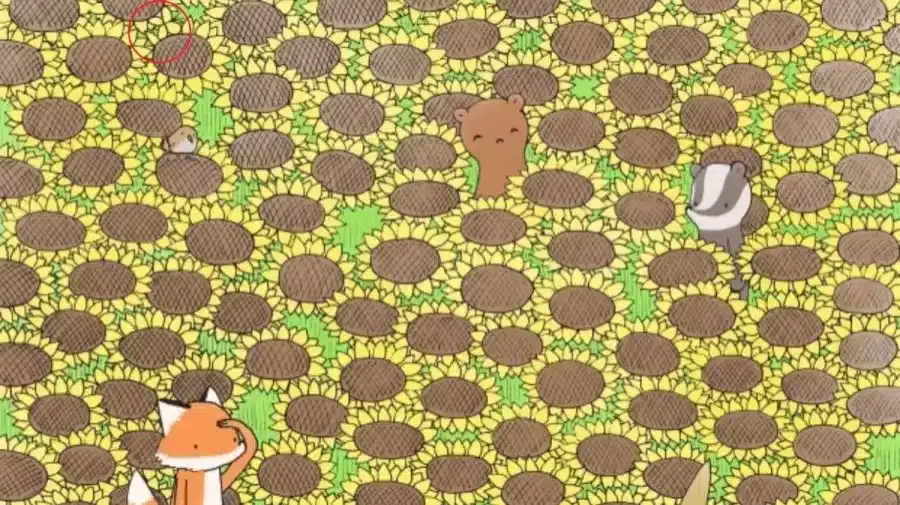 Illusione ottica: Riesci a trovare la farfalla tra questi girasoli?
