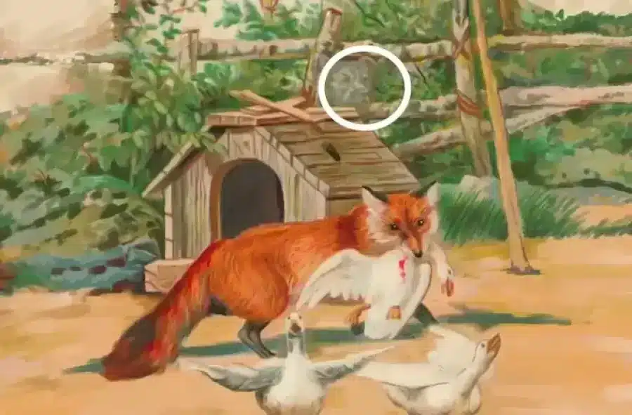 Test di illusione ottica: Riesci a trovare dove si nasconde il lupo in questa immagine in 15 secondi?