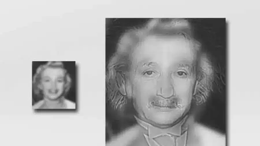 Illusione ottica di Albert Einstein: Riuscite a individuare Marilyn Monroe in questa immagine?