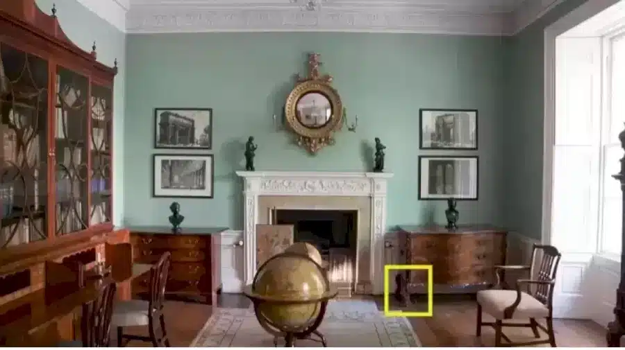 Riesci a identificare la lucertola in questa stanza in 8 secondi? Illusioni ottiche Spiegazioni e soluzioni
