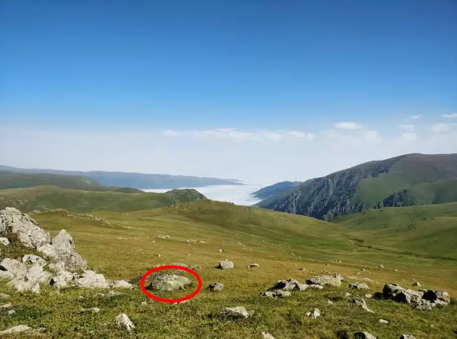 Sfida di illusione ottica: se individuate la capra in questa foto entro 17 secondi, avete l'occhio dell'aquila