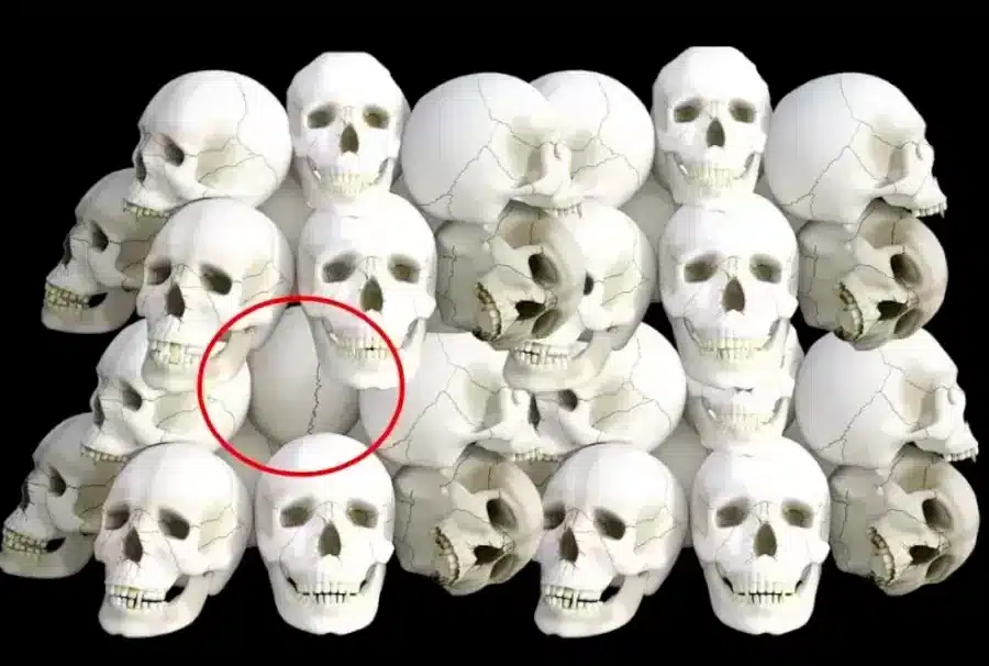 Illusione ottica: Riesci a individuare l'uovo in 10 secondi?