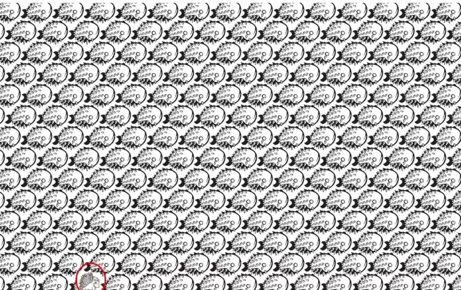 Un'illusione ottica che inganna gli occhi: In 8 secondi, scopri il porcospino nascosto in questa illusione ottica