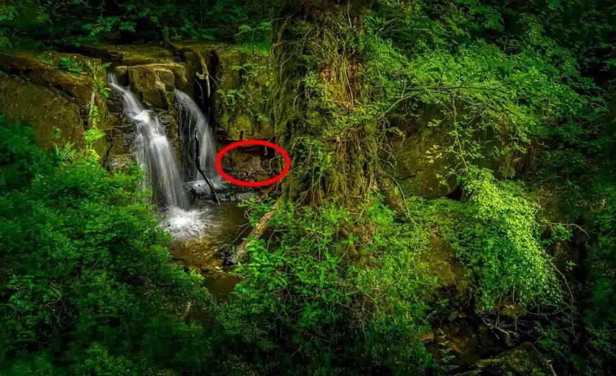 Illusione ottica della caccia alla tigre: Bisogna avere occhi d'aquila per individuare la tigre nell'immagine del muro d'acqua