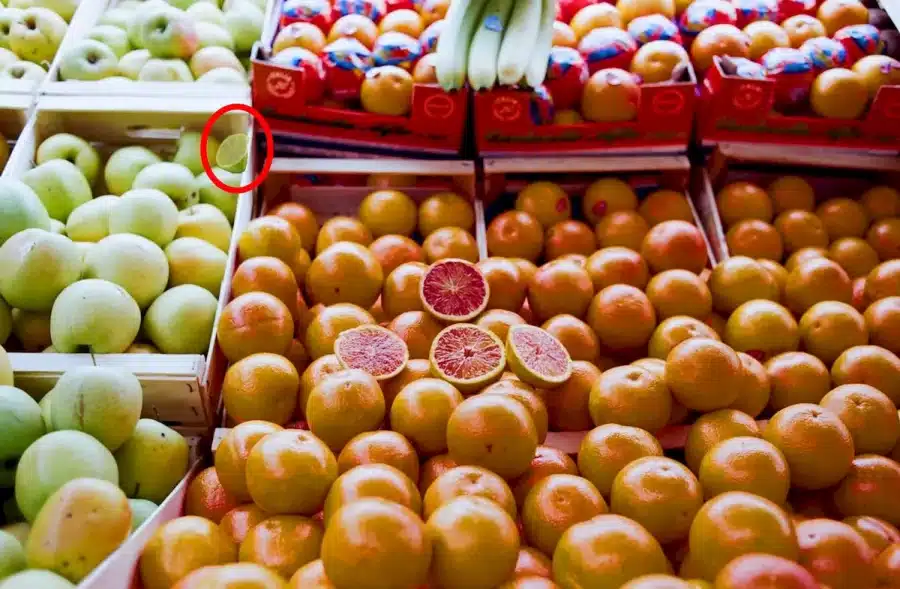Illusione ottica della ricerca del limone: Trova i limoni tra questi frutti in 13 secondi