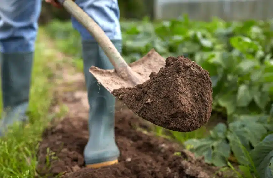 Consigli per vangare il giardino in inverno: l’importanza di vangare e le tecniche migliori per farlo