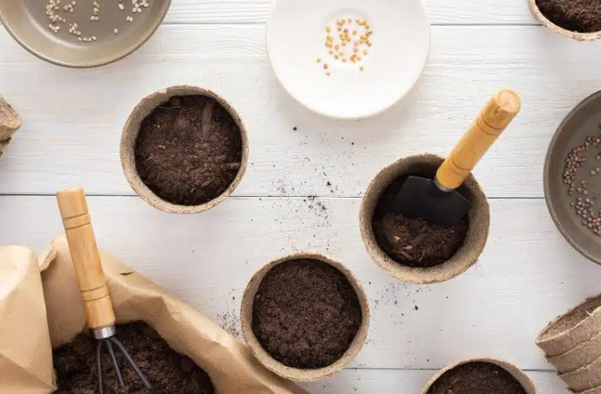 Consigli per il giardinaggio: scoprite il terreno ideale per far germogliare con successo le vostre piantine