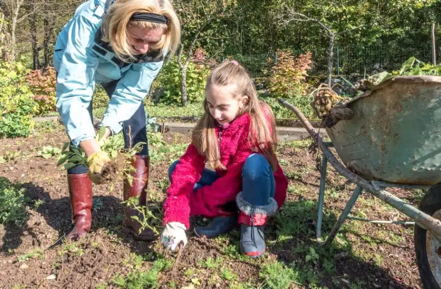 In giardino a gennaio: cosa piantare, seminare e fare a gennaio