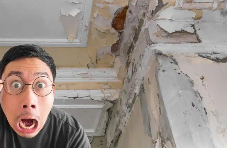 Umidità in casa: quali sono i segnali e come eliminarla?