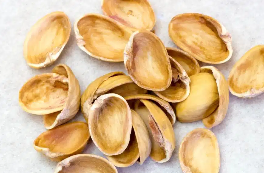 Perché mettere i gusci di pistacchio nei vasi da fiori e come riciclarli?