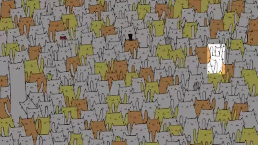 Trova e cerca le illusioni ottiche: riesci a trovare il coniglio nascosto tra i gatti?