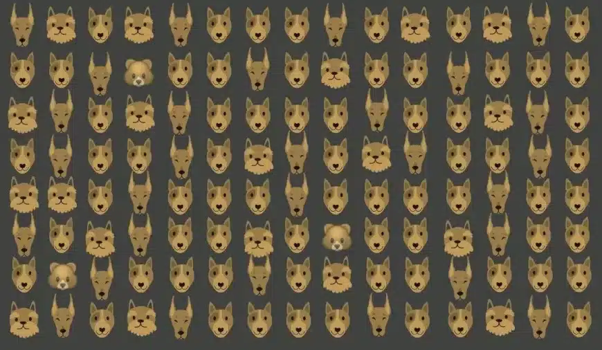 Illusione ottica: In 20 secondi, riesci a trovare i 3 orsi tra questi cani? Solo pochi ci riescono!