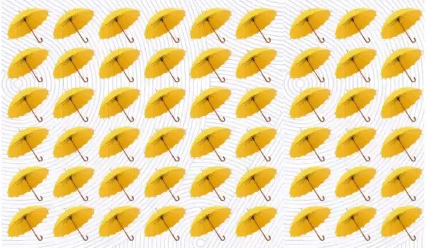 Illusione ottica: Individuare i diversi ombrelli in questa immagine in meno di 14 secondi