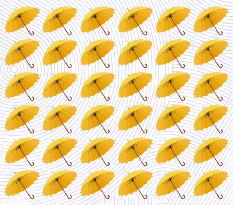 Illusione ottica: Trova i diversi ombrelli in questa immagine in 14 secondi