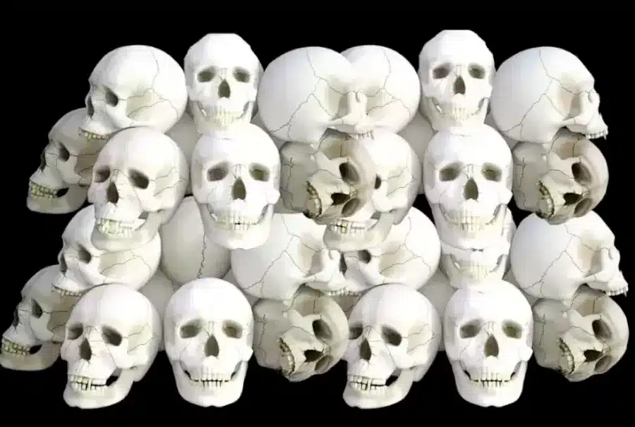 Illusione ottica: Riesci a individuare l'uovo in 10 secondi?