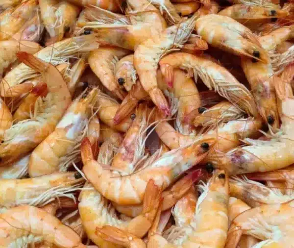Illusione ottica: Riesci a trovare il pesce stella nascosto entro 10 secondi?