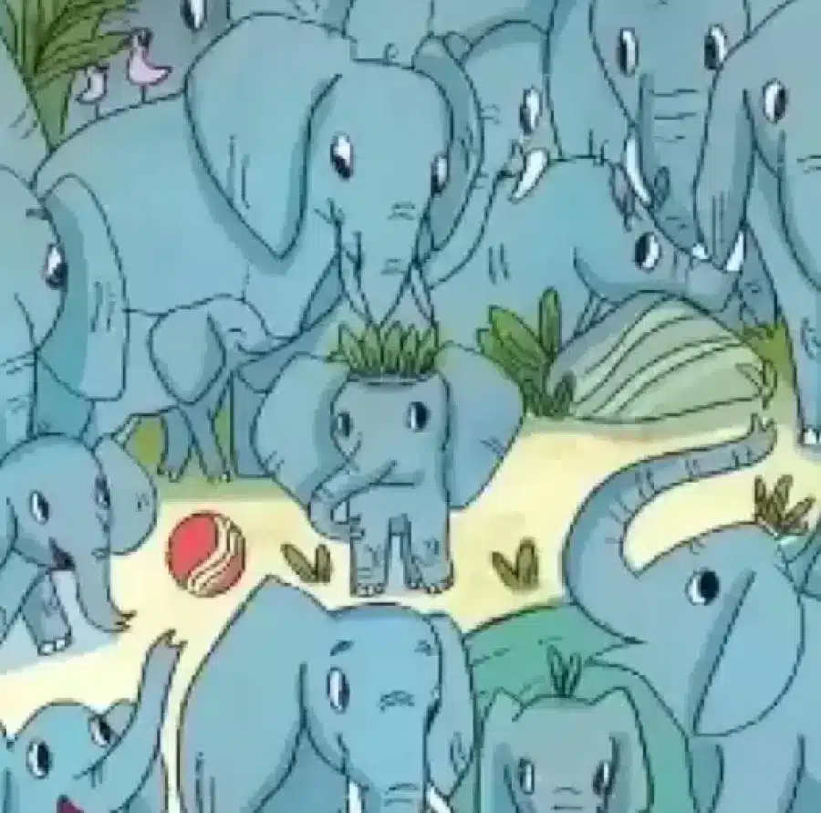 Illusione ottica: Riesci a trovare il rinoceronte nascosto tra gli elefanti in 10 secondi?