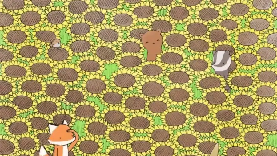 Illusione ottica: Riesci a trovare la farfalla tra questi girasoli?