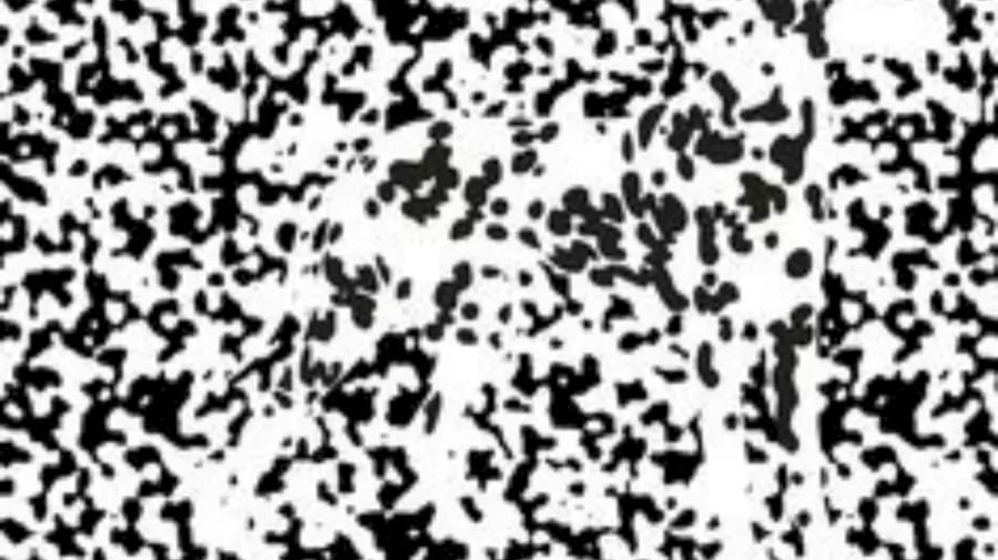 Illusione ottica: Riuscite a vedere le figure nascoste dietro queste macchie bianche e nere?