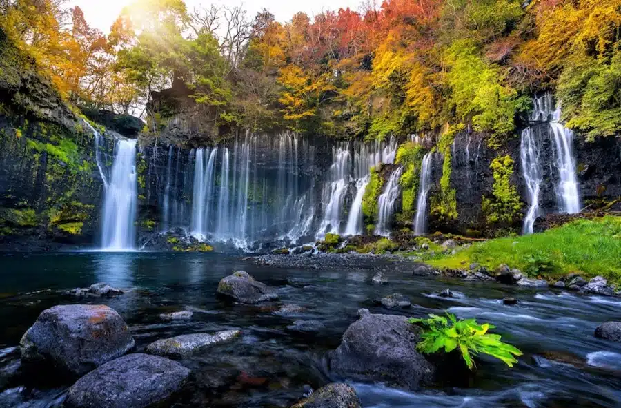 Illusione ottica: Se riesci a individuare una pantera in una cascata entro 25 secondi, hai l'occhio dell'aquila