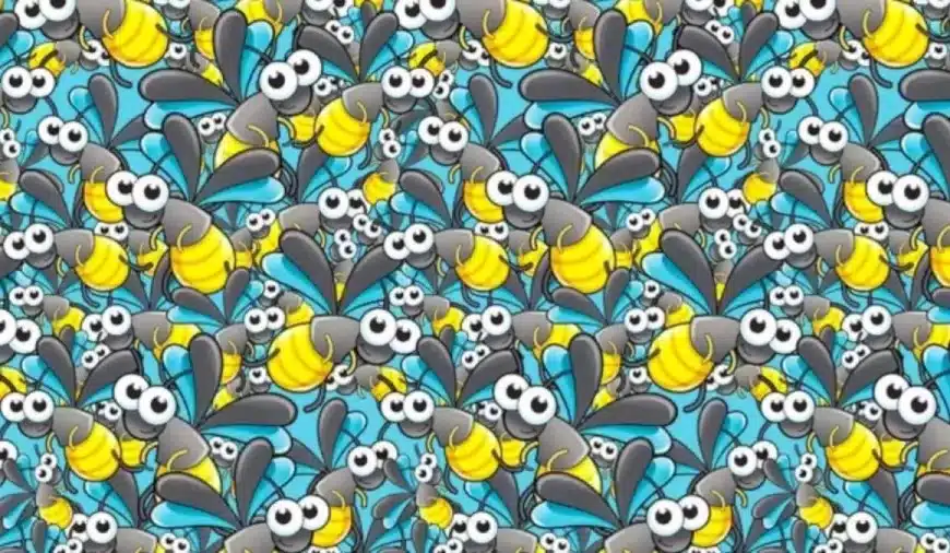 Illusione ottica Seek and Find: Riesci a individuare la formica entro 15 secondi?