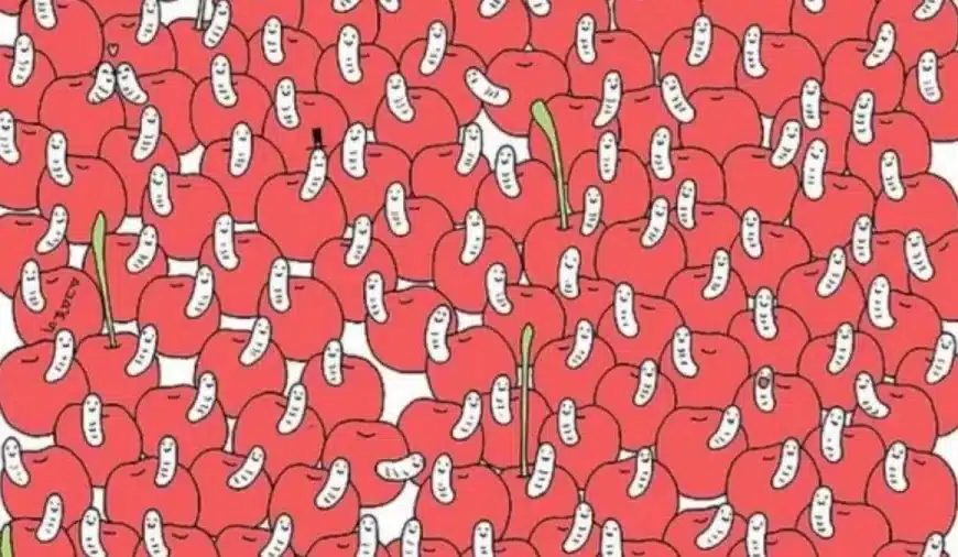 Illusione ottica del mouse nascosto: Riesci a individuare il topo nascosto tra gli elefanti in 18 secondi?