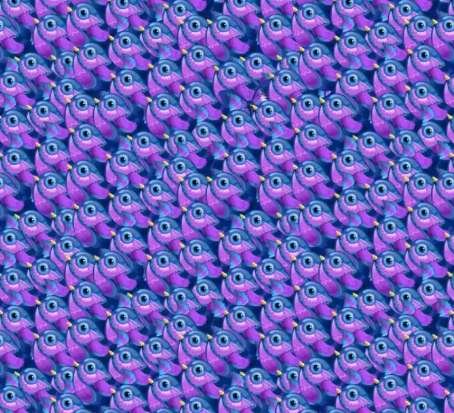 Scoprite l'illusione ottica della farfalla: In questa immagine c'è una farfalla tra gli uccelli. L'avete vista?