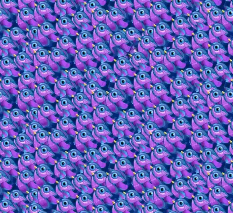 Scoprite l'illusione ottica della farfalla: In questa immagine c'è una farfalla tra gli uccelli. L'avete vista?