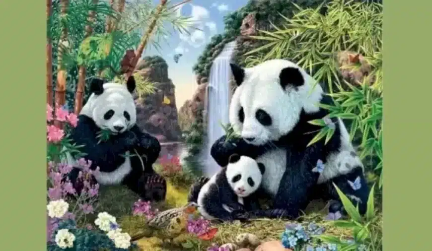 Illusione ottica di ricerca del panda: Solo il 20% delle persone riesce a trovare tutti i panda nascosti in 10 secondi?