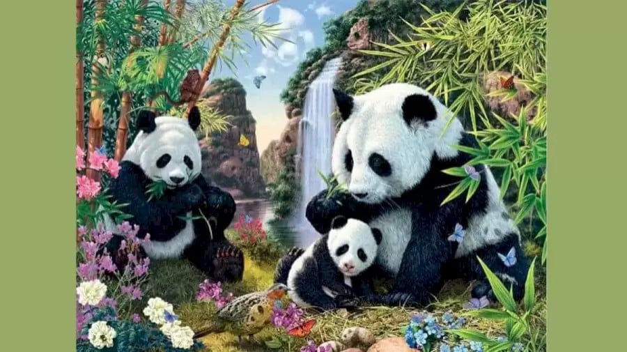 Ricerca Panda a illusione ottica: Solo il 20% delle persone riesce a trovare tutti i panda nascosti in 10 secondi?