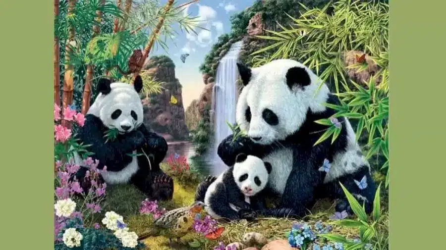 Ricerca Panda a illusione ottica: Solo il 20% delle persone riesce a trovare tutti i panda nascosti in 10 secondi?
