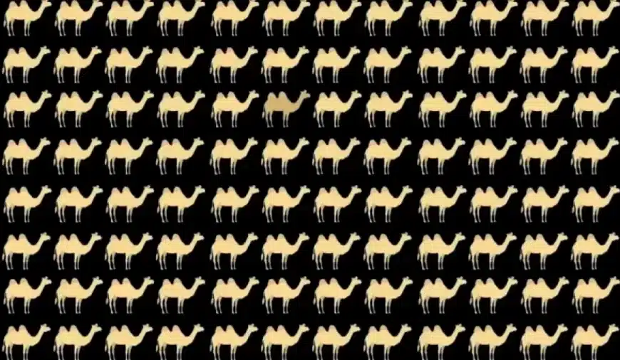 Illusione ottica per il test della vista: Riesci a individuare il cammello diverso in questa immagine?