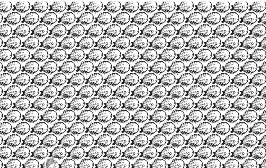 Un'illusione ottica che inganna gli occhi: In 8 secondi, scopri il porcospino nascosto in questa illusione ottica