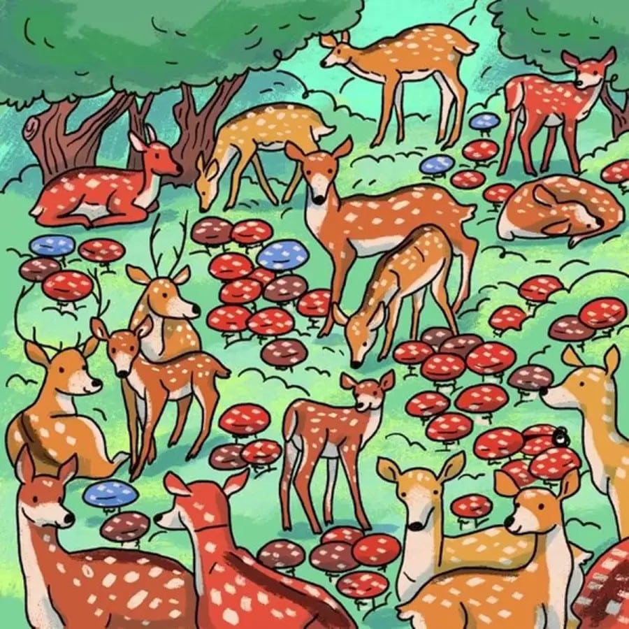 Illusioni ottiche per mettere alla prova i tuoi occhi!  Riesci a trovare l'insetto in questa immagine in 13 secondi?