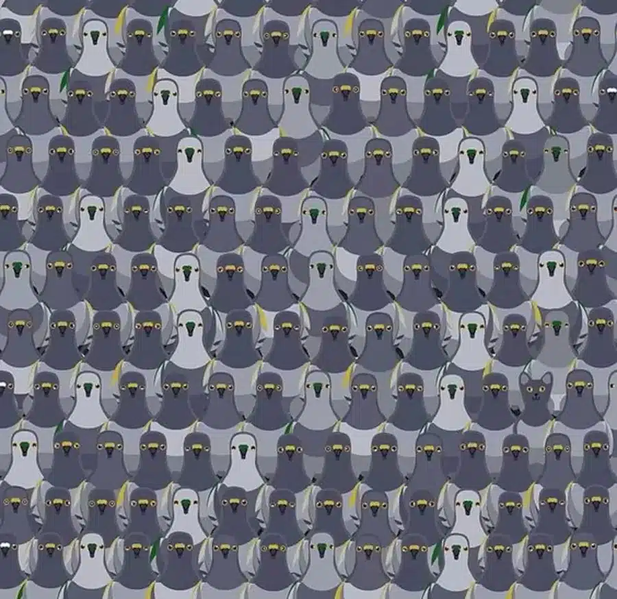 Illusioni ottiche per mettere alla prova i vostri occhi! Un gatto nascosto è in attesa di tendere un'imboscata ai piccioni. Riuscite a vedere il gatto in questa illusione ottica?