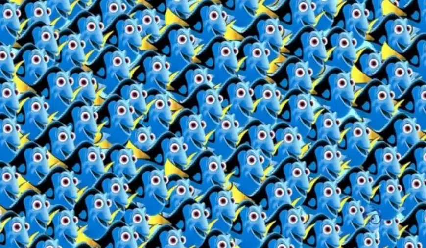 Non essere triste! Invece, in questa illusione ottica, la tristezza viene percepita dall’interno.