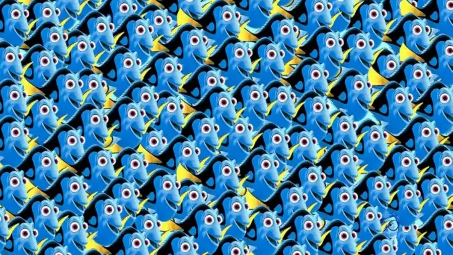 Non siate tristi! Rilevate invece la tristezza dall'interno verso l'esterno in questa illusione ottica