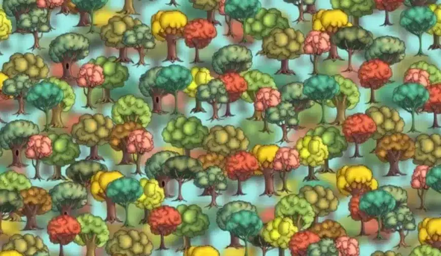 Non sono solo alberi. In questa illusione ottica c’è un broccolo ben nascosto. Riuscite a trovarlo?