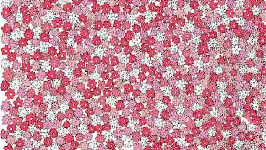 Riesci a trovare l'anatra tra i fiori in 15 secondi? Illusioni ottiche Spiegazioni e soluzioni