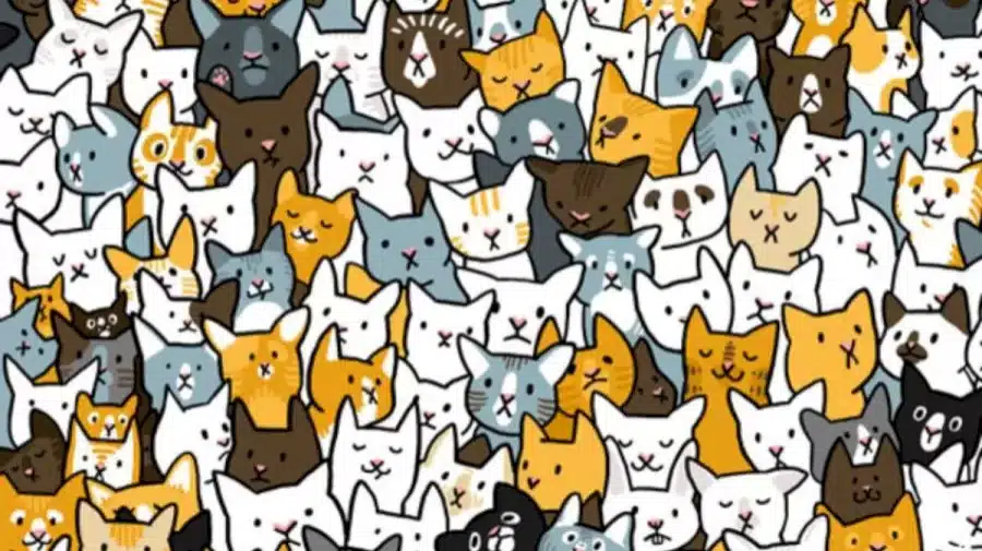 Riesci a trovare il coniglio tra i gatti in 12 secondi? Illusioni ottiche Spiegazioni e soluzioni