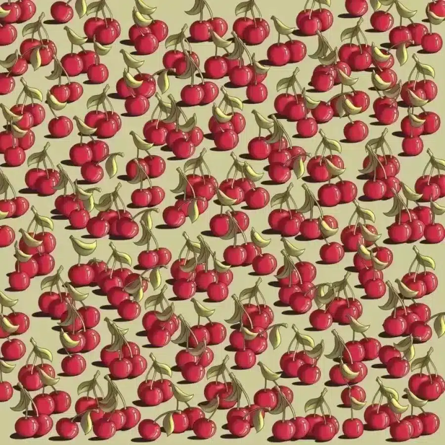 Riesci a trovare i pomodori nascosti tra le ciliegie in questa illusione ottica?