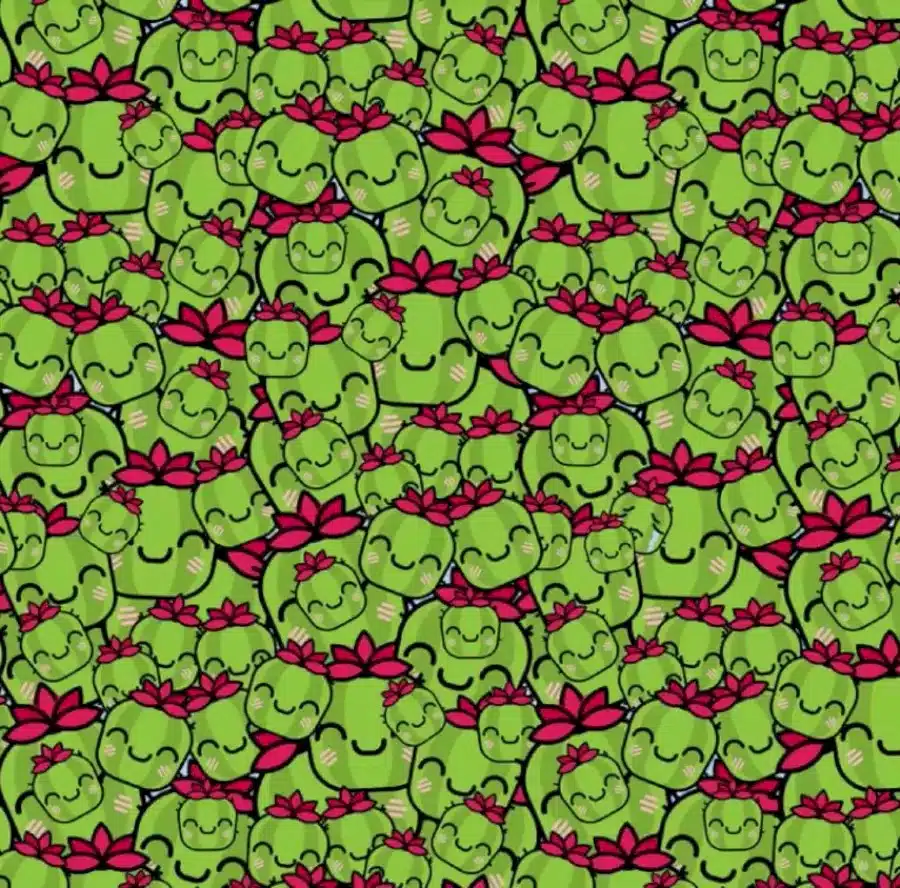Sfida all'illusione ottica: se trovi il cactus piangente in questa immagine entro 16 secondi, sei il vincitore