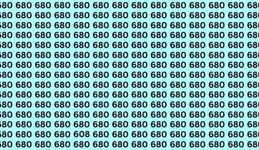 Test di capacità di osservazione: Riesci a trovare il numero 608 tra 680 in 20 secondi?