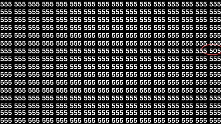 Test di capacità di osservazione: Riesci a trovare il numero 505 da 555 in 10 secondi?