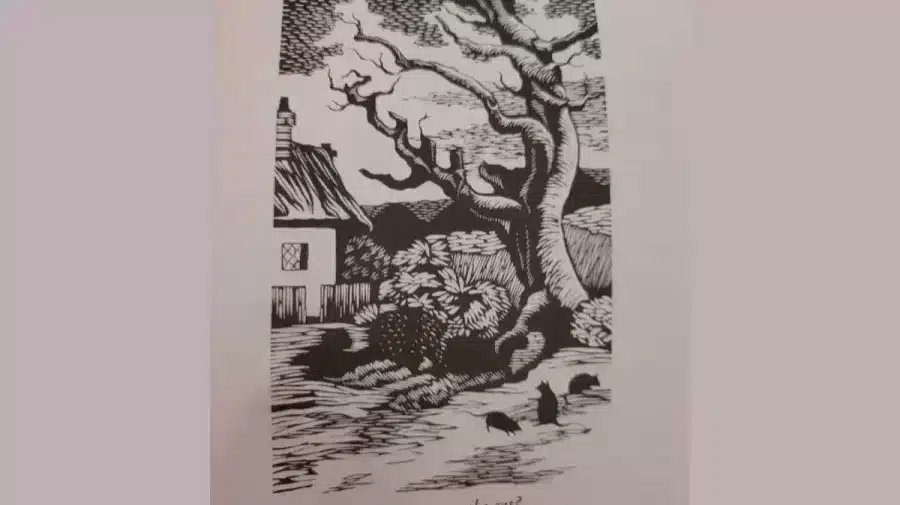 Test di visione dell'illusione ottica: Solo una persona dagli occhi d'aquila può trovare il gatto nell'immagine. E voi ci riuscite?