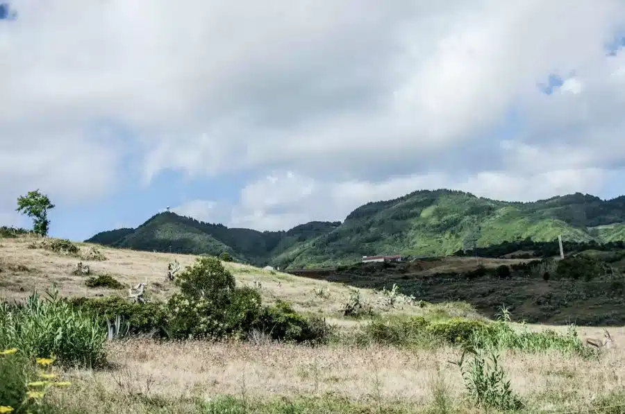 Test di visione con illusione ottica: Solo il 15% delle persone riesce a riconoscere la gazzella sulla cima di questa montagna entro 15 secondi. Voi ci riuscite?