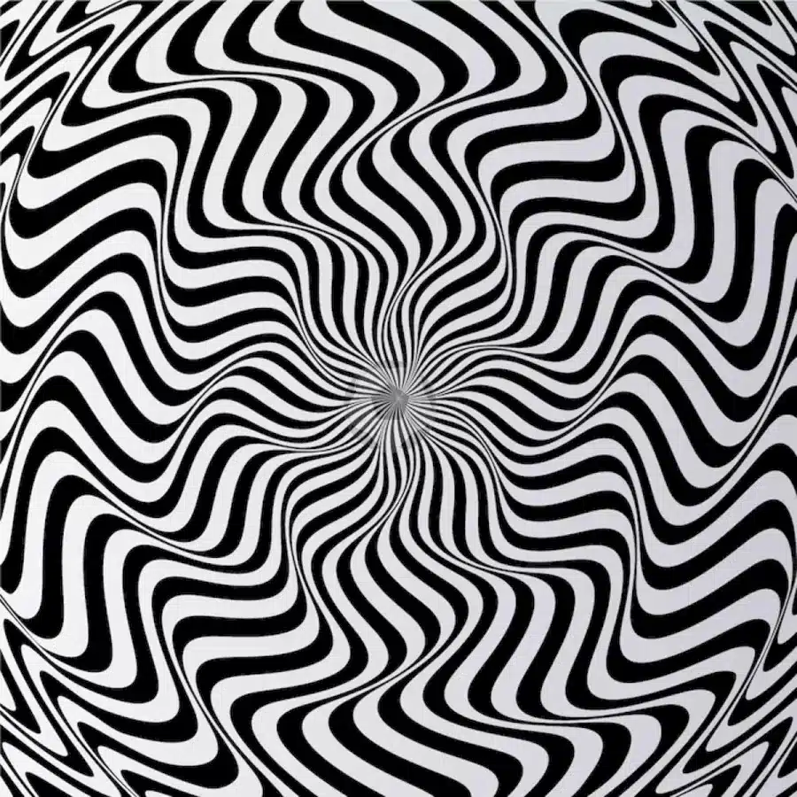 Volete mettere alla prova la vostra vista? Cercate di trovare gli oggetti nascosti in questa illusione ottica