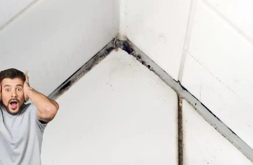 Come sconfiggere l’umidità in bagno: i migliori consigli per una deumidificazione semplice ed efficace