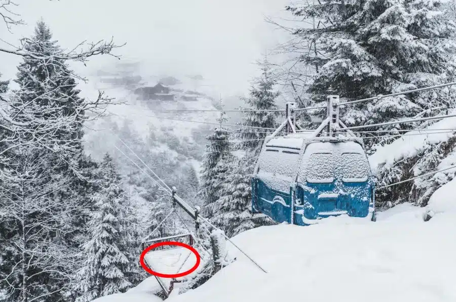 Test di illusione ottica: La pernice bianca ben mimetizzata di questa immagine è visibile solo a poche persone. Siete voi una di queste?